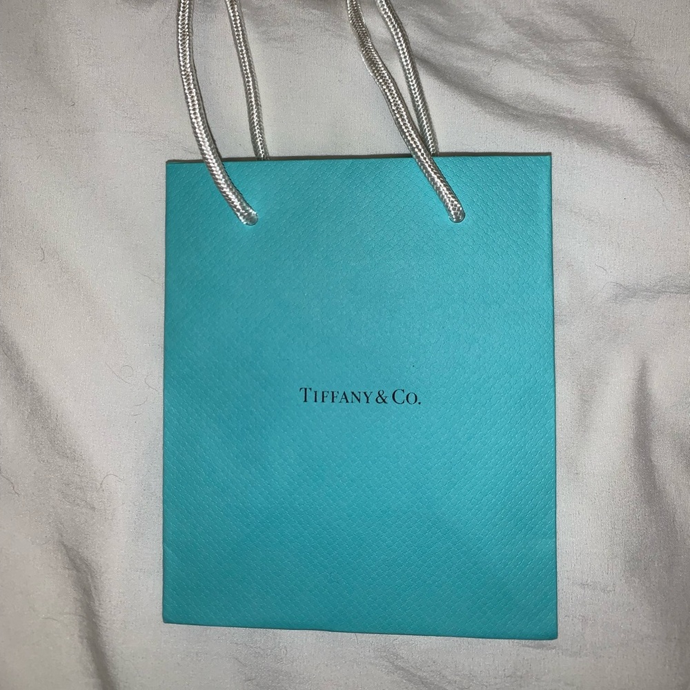 Tiffany and Co Paper Bag